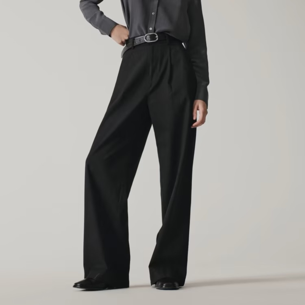 Everlane The Way-High Drape Pant